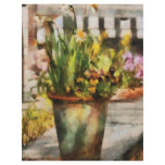 Daffodil  - A pot of daffodil's flyers