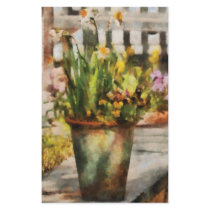 Daffodil  - A pot of daffodil's Stationery