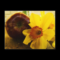Daffodil & Apple Postcard postcards