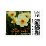 Daffodil • April Wedding Stamp