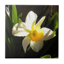 Daffodil at Daybreak Tile tiles