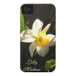 Daffodil At First Light iPhone 4 Case casemate_case