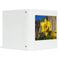 Daffodil binders