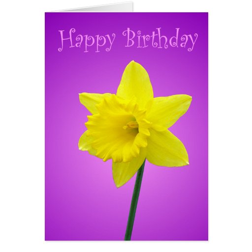 Daffodil Birthday Card
