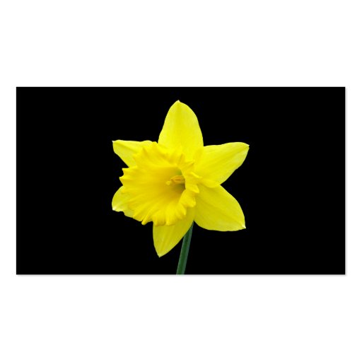 Daffodil - Black Business Cards (back side)