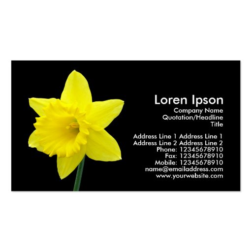Daffodil - Black Business Cards