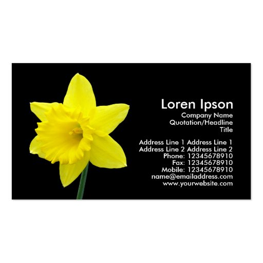 Daffodil - Black Business Cards (front side)