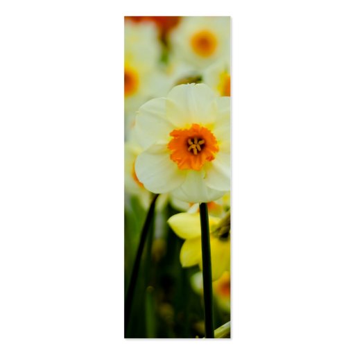 Daffodil Bookmark Business Card Templates (front side)