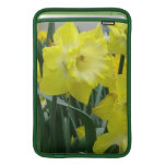 Daffodil Bulbs 11" MacBook Sleeve