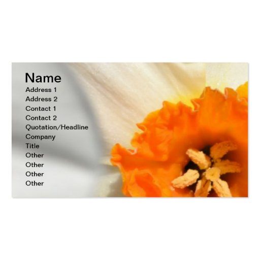 Daffodil Business Card (front side)