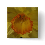Daffodil Pin