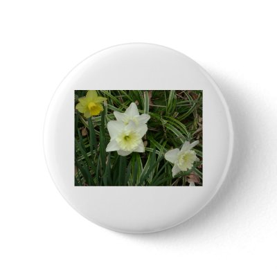 daffodil buttons by kathiscc