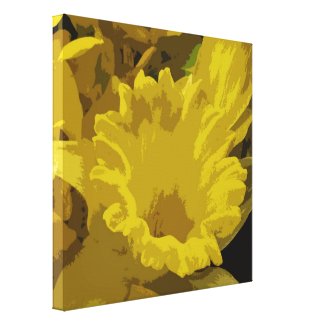 Daffodil Stretched Canvas Print