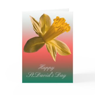 Daffodil Card card