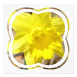 Daffodil Classic Invitation