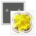 Daffodil Classic Square Pin
