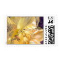 Daffodil Close Up Postage postage