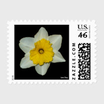 Daffodil Close-up Postage postage