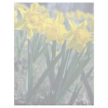 Daffodil cluster  flowers letterhead design