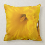 Daffodil cushion pillows pillows