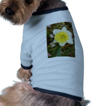 Daffodil Darling pet clothing
