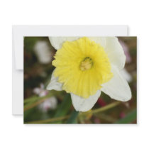 Daffodil Darling invitations