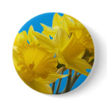 Daffodil Days Button