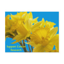 Daffodil Days postcards by skytopian Daffodil Days postcards