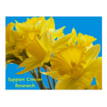 Daffodil Days Postcards