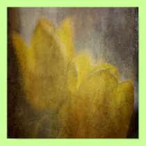 Daffodil Dreams Poster Print