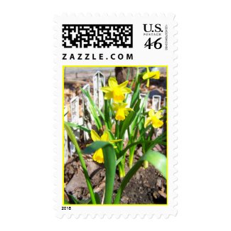 Daffodil Dreams Stamp stamp