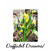 Daffodil Dreams! Womens Shirt