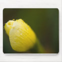Daffodil Droplets mousepads
