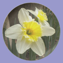 Daffodil Duo Collector Plate plates