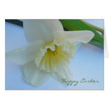 Daffodil Easter Card