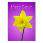 Daffodil Easter Card