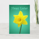 Daffodil Easter Card - An Easter card featuring a daffodil on a green shaded background with 'Happy Easter' on the front in a curly decorative font and also written inside. Photo / Design by Nicolette Amanda Berry.