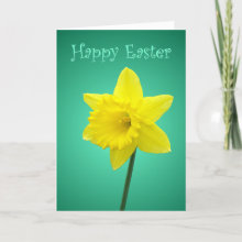 Daffodil Easter Card - An Easter card featuring a daffodil on a green shaded background with 'Happy Easter' on the front in a curly decorative font and also written inside. Photo / Design by Nicolette Amanda Berry.