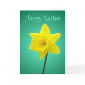 Daffodil Easter Card - An Easter card featuring a daffodil on a green shaded background with 'Happy Easter' on the front in a curly decorative font and also written inside. Photo / Design by Nicolette Amanda Berry.