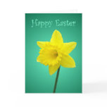 easter, flower, daffodil, narcissus, purple, pink,