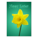 Daffodil Easter Card - II