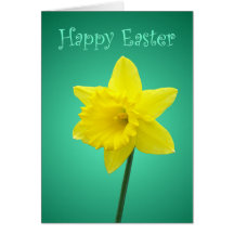 Daffodil Easter Card - II