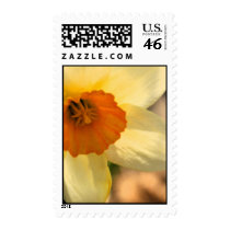 Daffodil Floral US Wedding Postage Stamp