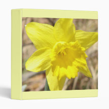 Daffodil Flower Blossom Binder