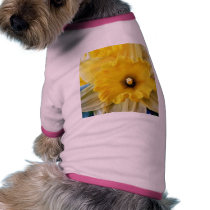 Daffodil Flowers pet clothing