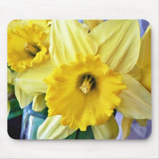 Daffodil Flowers Yellow Mouse Pads