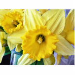 Daffodil Flowers Yellow Photo Cut Outs