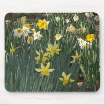 Daffodil Galore Mousepad by sunsett76 Daffodil Galore Mousepad