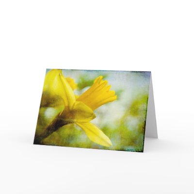 Daffodil Greeting Card