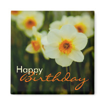 Daffodil • Happy Birthday Magnet by SabineStGreetings Daffodil • Happy Birthday Magnet